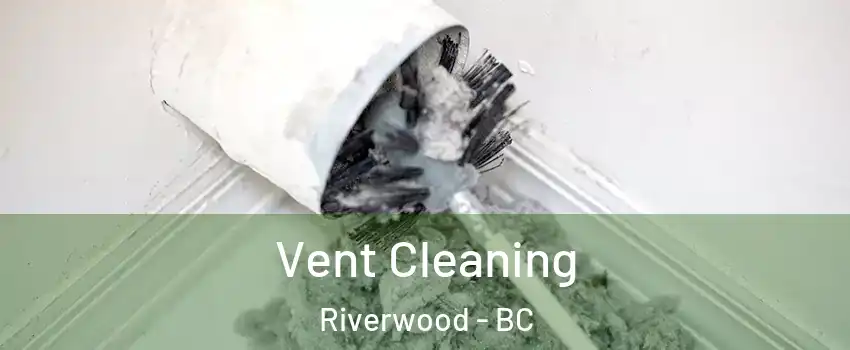  Vent Cleaning Riverwood - BC
