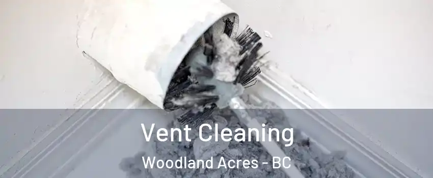  Vent Cleaning Woodland Acres - BC