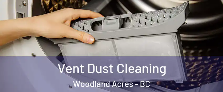  Vent Dust Cleaning Woodland Acres - BC