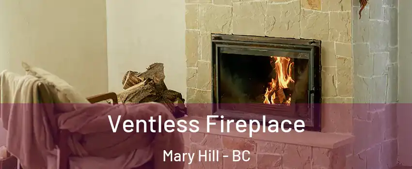  Ventless Fireplace Mary Hill - BC