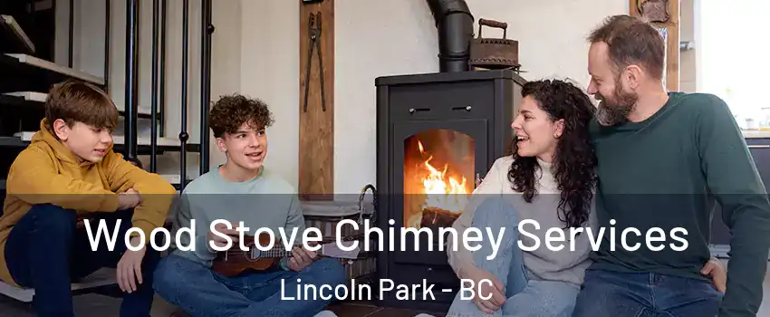  Wood Stove Chimney Services Lincoln Park - BC