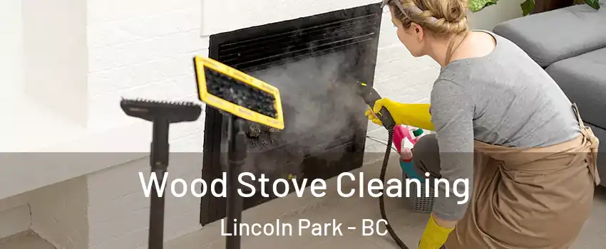  Wood Stove Cleaning Lincoln Park - BC