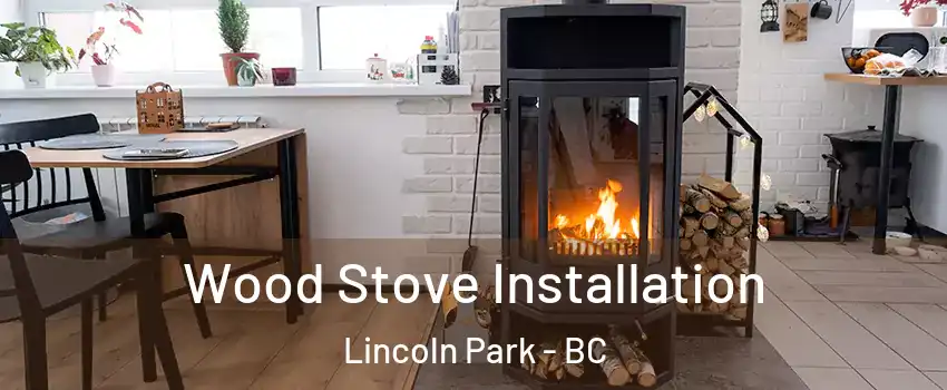  Wood Stove Installation Lincoln Park - BC