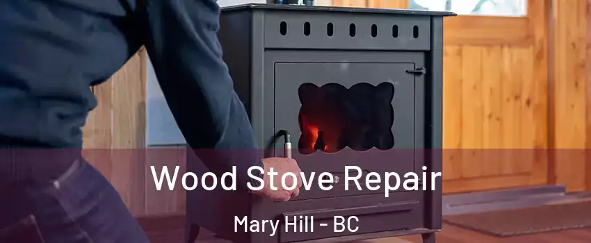  Wood Stove Repair Mary Hill - BC